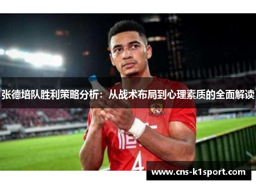 张德培队胜利策略分析：从战术布局到心理素质的全面解读