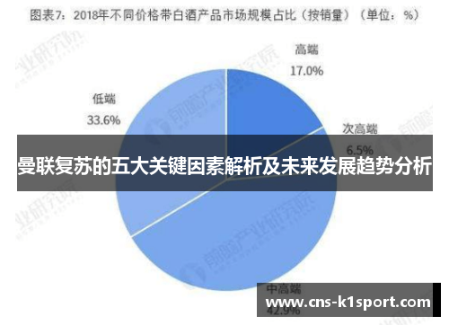 曼联复苏的五大关键因素解析及未来发展趋势分析 曼联复苏的五大关键因素解析及未来发展趋势分析