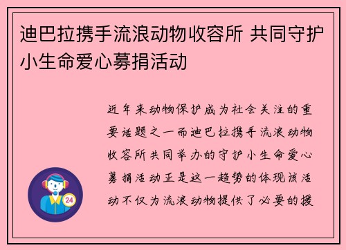 迪巴拉携手流浪动物收容所 共同守护小生命爱心募捐活动