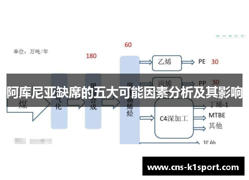 阿库尼亚缺席的五大可能因素分析及其影响