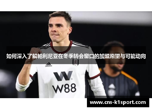 如何深入了解帕利尼亚在冬季转会窗口的加盟愿望与可能动向