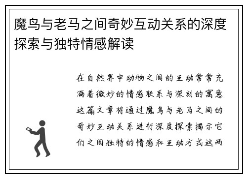 魔鸟与老马之间奇妙互动关系的深度探索与独特情感解读