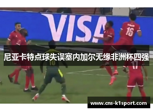 尼亚卡特点球失误塞内加尔无缘非洲杯四强 尼亚卡特点球失误塞内加尔无缘非洲杯四强